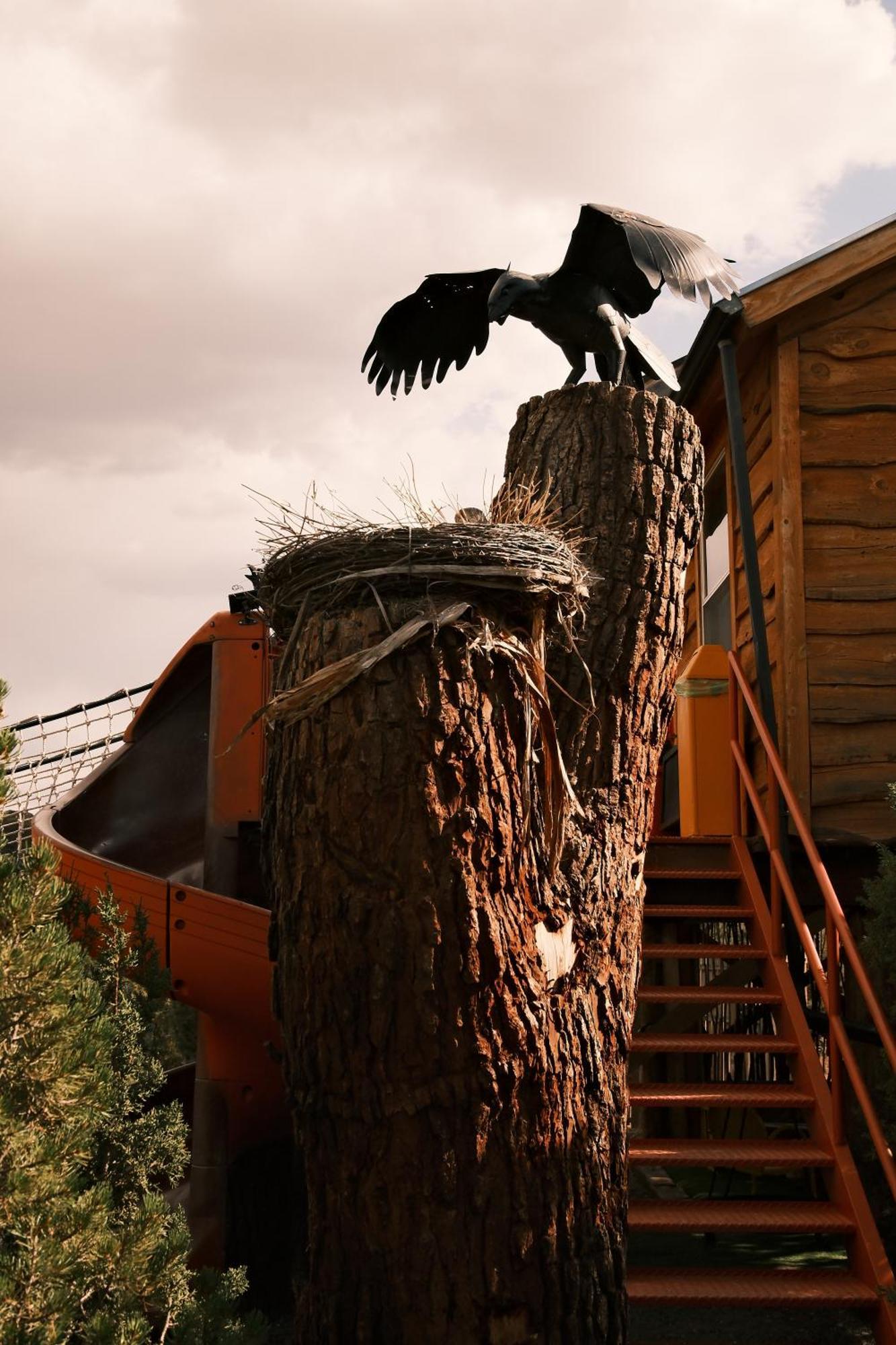 Villa Crows Nest Treehouse At El Mstico Ranch Nogal Exterior foto