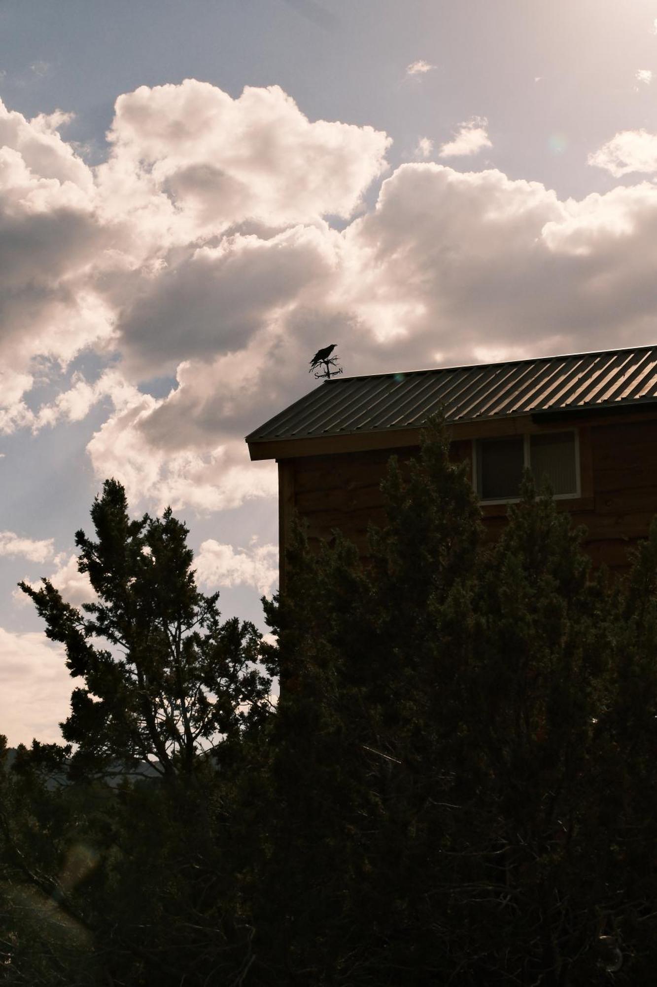 Villa Crows Nest Treehouse At El Mstico Ranch Nogal Exterior foto