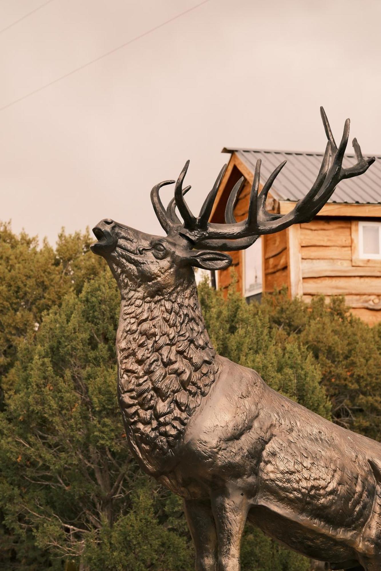 Villa Crows Nest Treehouse At El Mstico Ranch Nogal Exterior foto